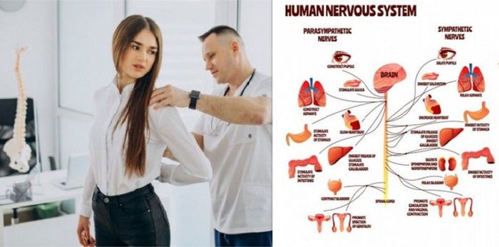 Gangguan Sistem Endokrin: Pencetus, Penyakit, dan Penanganan