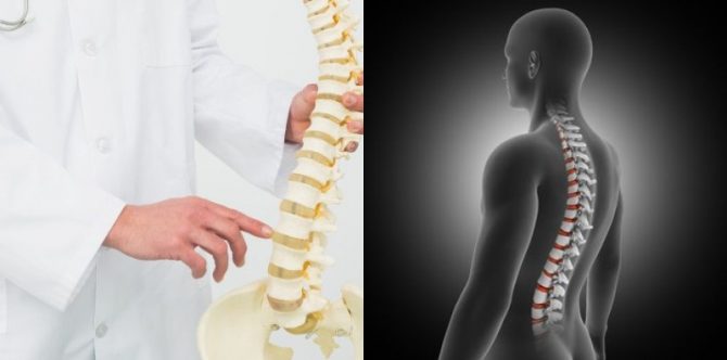 6 Fungsi Rangka Manusia, Ajarkan si Kecil Tentang Keajaiban Tubuhnya