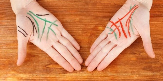 Begini Cara Membaca Karakter Lewat Garis Tangan, Tertarik Mencoba?