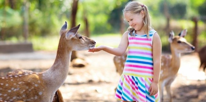 Jenis-Jenis Hewan Bertulang Belakang, Yuk, Ajarkan pada Si Kecil