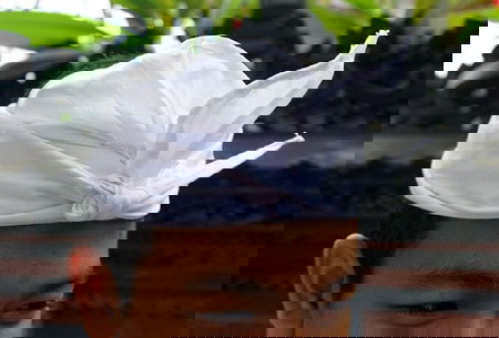 udeng