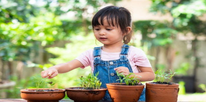 Mengenal Aneka Jenis Tumbuhan dan Nama Latinnya, Si Kecil Sudah Tahu?