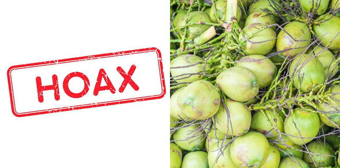 Benarkah Air Kelapa Hijau Dapat Mengobati COVID-19? Cek 5 Fakta Berikut Ini!