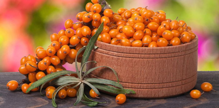 Dikenal Kaya Manfaat, Amankah Sea Buckthorn untuk Ibu Hamil?