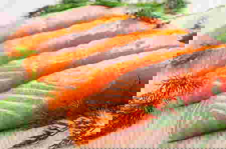 Makanan Sehat untuk Rambut