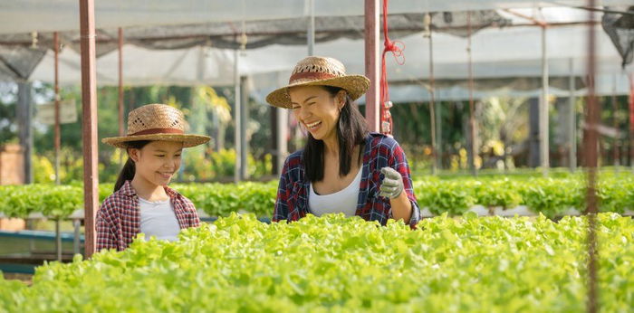 Manfaat Bercocok Tanam Bagi Anak di Kala Pandemi