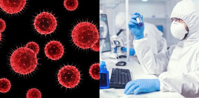 Mengenal Tahapan Replikasi Virus dalam 2 Siklus, Yuk Ajarkan pada Si Kecil!