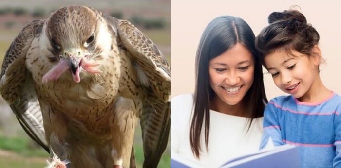 Mengenal Rantai Makanan Beserta Contohnya, Ajarkan Pada Si Kecil Yuk Parents!