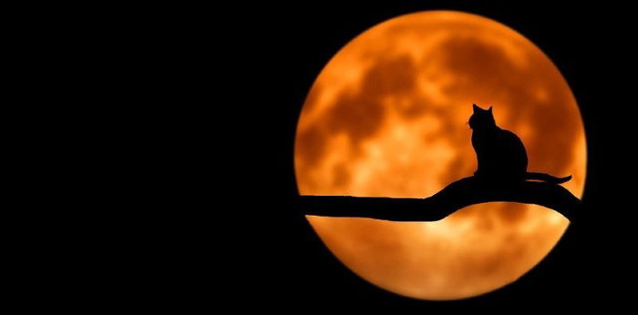 Sering Dihubungkan dengan Hal Mistis, Apa Itu Malam Satu Suro?