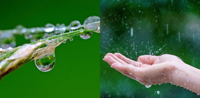 Apa Saja Sih yang Terkandung dalam Air Hujan? Yuk Ajarkan Ini pada Anak!