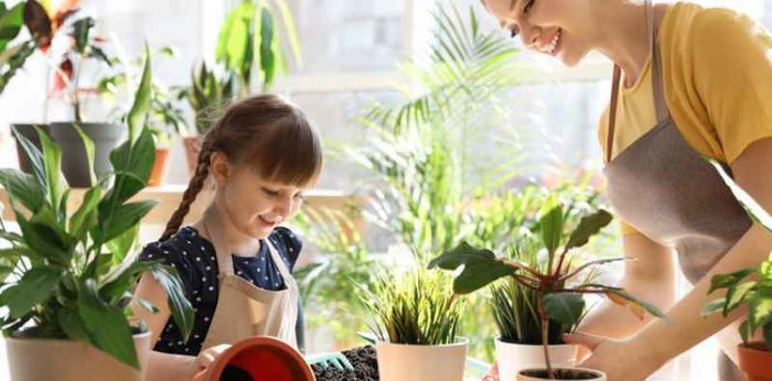 Mengenal Sel Tumbuhan Beserta Struktur dan Fungsinya, Si Kecil Sudah Tahu?