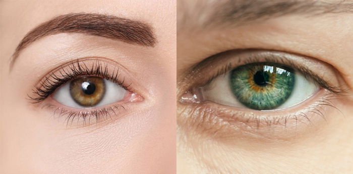 8 Warna Mata yang ada di Seluruh Dunia, yang Paling Umum hingga Paling Langka