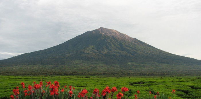 11 Gunung Tertinggi di Indonesia, Si Kecil Sudah Tahu?
