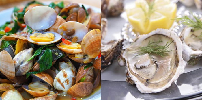 10 Jenis Kerang yang Umum Ditemui di Indonesia dan Biasa Dikonsumsi