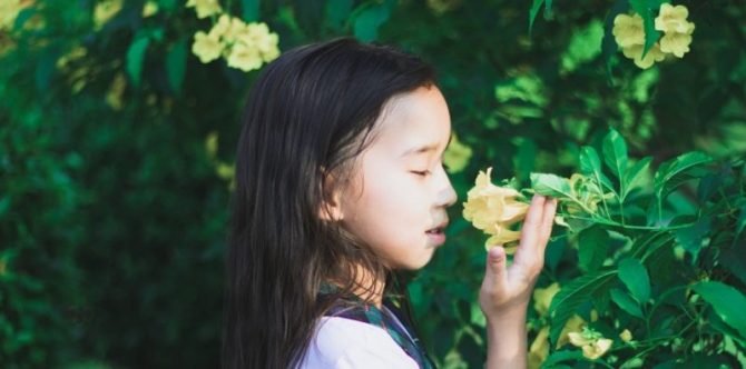 6 Contoh Sumber Daya Alam yang Dapat Diperbarui dan Cara Menjaga Kelestariannya