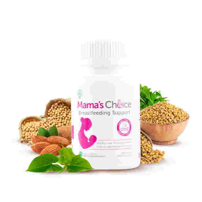 perlengkapan ibu menyusui bekerja