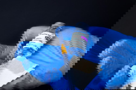 vaksin untu anak 6-11 tahun