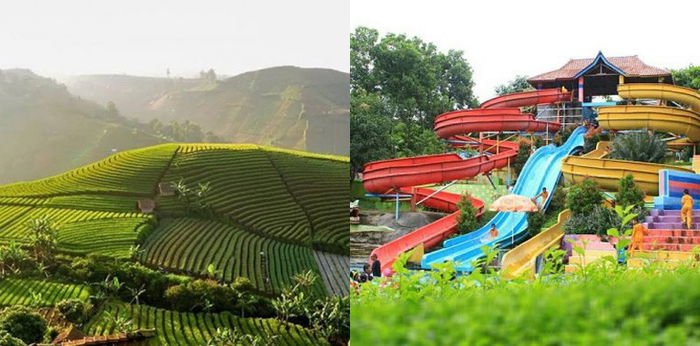 30 Tempat Wisata Hits di Majalengka, Rekreasi Alam hingga Kuliner Lezat!