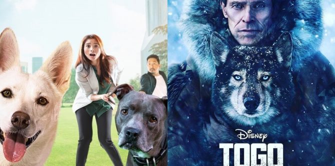 5 Rekomendasi Film tentang Hewan Peliharaan yang Bersahabat dengan Manusia