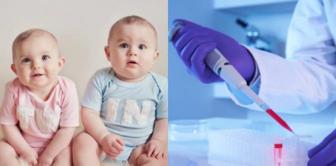 Benarkah Program Bayi Tabung Memberikan Peluang Hamil Kembar Lebih Besar? Ini Faktanya!