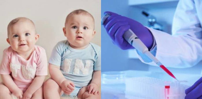 Benarkah Program Bayi Tabung Memberikan Peluang Hamil Kembar Lebih Besar? Ini Faktanya!