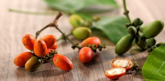 10 Manfaat Melinjo untuk Kesehatan, Merawat Kulit hingga Mengurangi Risiko Diabetes