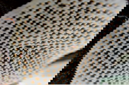 Fobia Melihat Lubang Kecil Atau Bintik, Kenali Gejala dan Penyebab Trypophobia