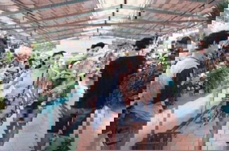 Belanja ke Pasar Tradisional, Begini Gaya Para Artis yang Mencuri Perhatian