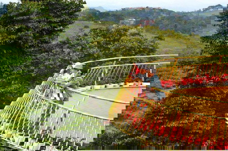 5 Potret Tempat Wisata Milik Dewi Perssik di Subang