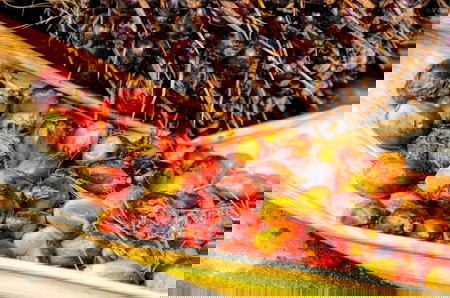 9 Manfaat Minyak Sawit, Hilangkan Jerawat hingga Mencegah Kanker!