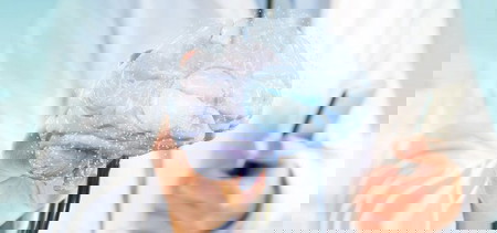 manfaat minyak sawit