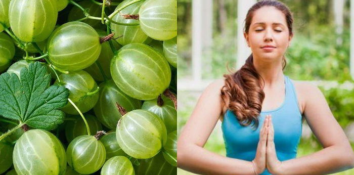 9 Manfaat Buah Malaka bagi Kesehatan yang Sayang Dilewatkan