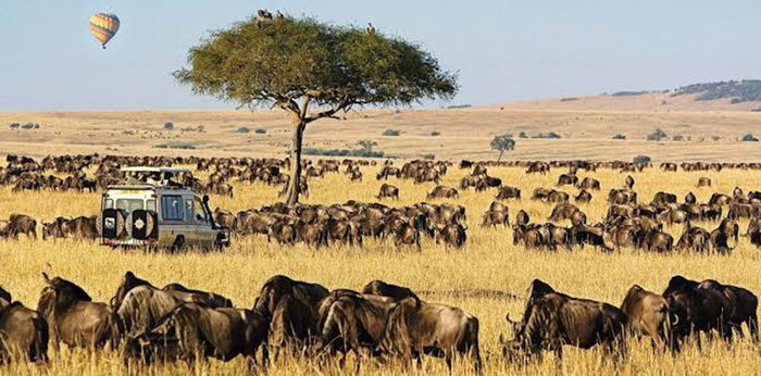 13 Tempat Wisata di Afrika yang Memukau, Surganya Pencinta Alam