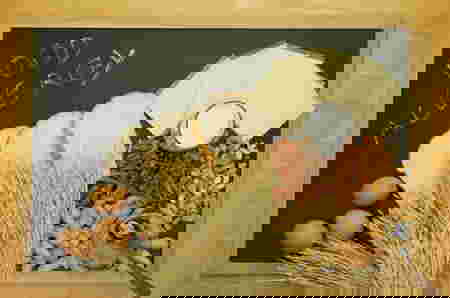 Waspada Ciri-ciri Alergi Pada Bayi, Penyebab dan Cara Mengatasinya