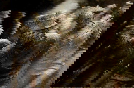Film diadaptasi dari game