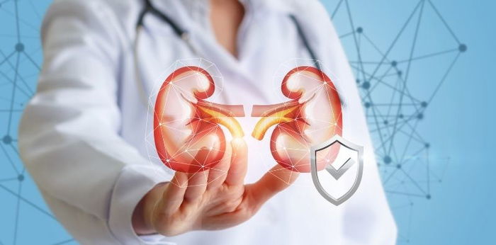 Cara Mencegah Penyakit Ginjal dengan Langkah “CERDIK”, Apa Itu?