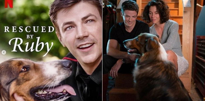 Film Rescued By Ruby, Kisah Heroik Anjing Penyelamat Nyawa di Tim SAR