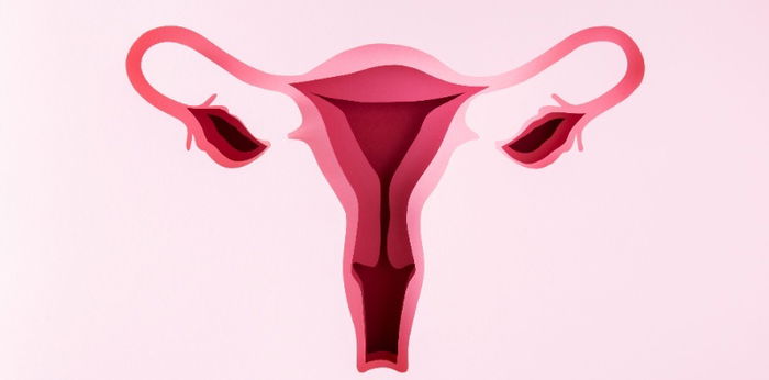 7 Penyebab Perempuan Terpaksa Lakukan Histerektomi