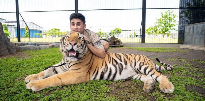 Komentari Kematian Harimau di Aceh, Alshad Ahmad Dikritik