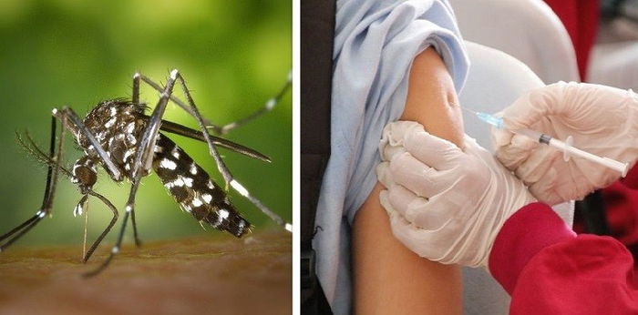 Cara Mencegah Penyakit Dengue, Salah Satunya dengan Vaksin Dengue