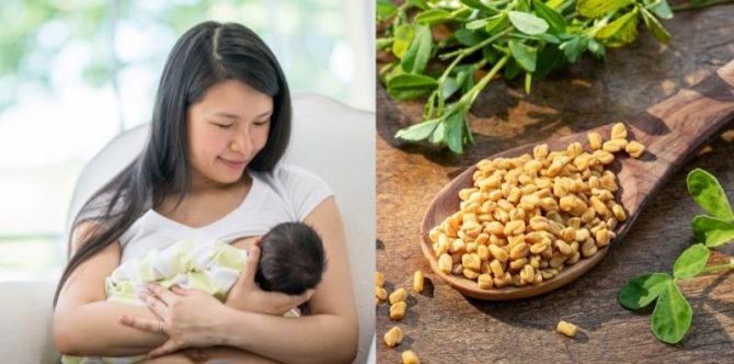 9 Jamu Pelancar ASI dari Bahan Alami, Daun Katuk hingga Jahe