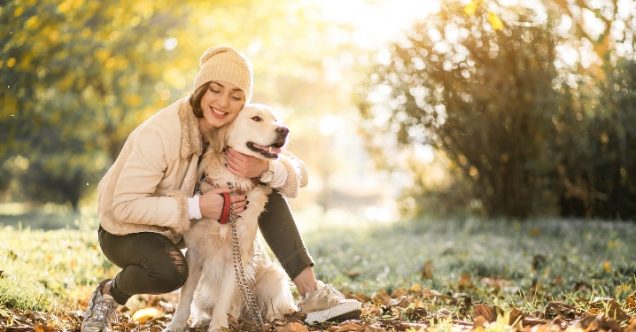 Sebelum Memelihara, Simak 10 Jenis Anjing Paling Berbahaya Ini