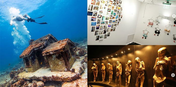 8 Museum Unik di Dunia, Ada Museum Rambut hingga Toilet