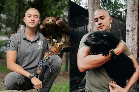 artis botak