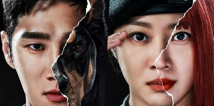 Sinopsis dan 5 Fakta Menarik Drama Military Prosecutor Doberman