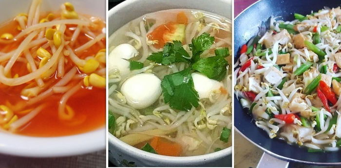 Tanggal Tua, Yuk Bikin 5 Resep Olahan Taoge yang Dijamin Nagih