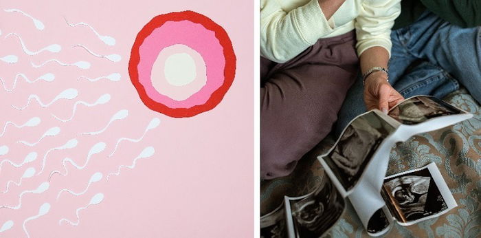 Ketahui Apa Itu Ovulasi dan Kapan Terjadi? Ketahui agar Promil Berhasil