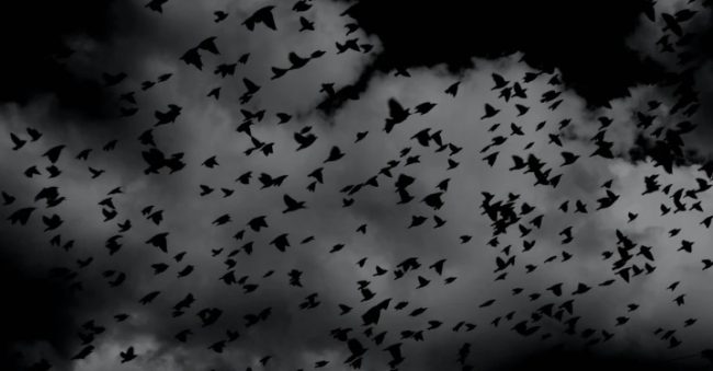 4 Thread Horor Twitter Paling Populer Selain Simpleman