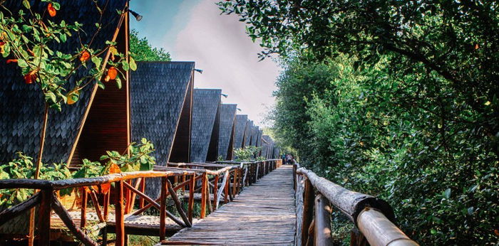 Taman Wisata Alam Angke Kapuk Punya Fasilitas Melimpah, Ini Harga Tiketnya