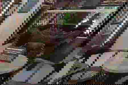 Intip Sudut Rumah Masa Kecil Bung Karno, Kental Nuansa Jawa